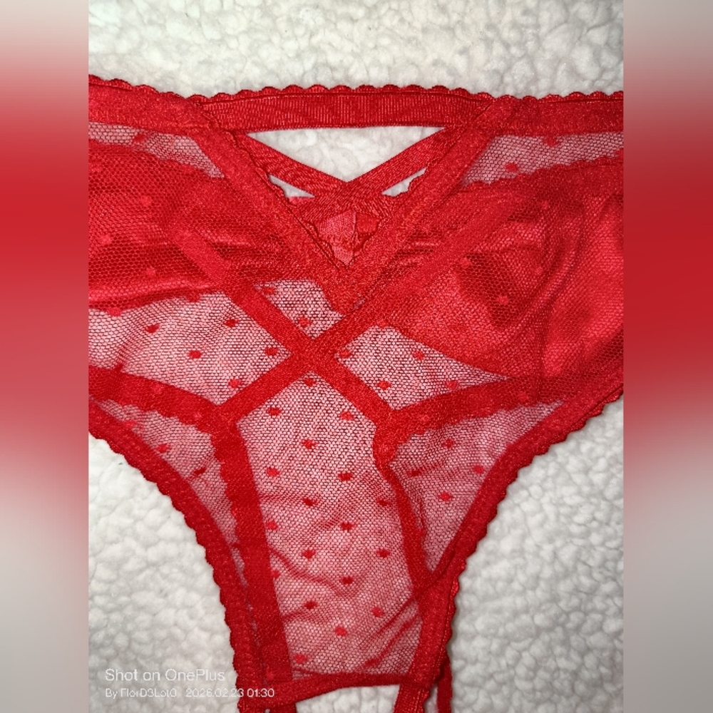 Victoria's Secret Red Mesh Panties